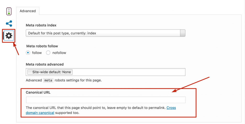 Canonical Tags - on page search engine ranking factors