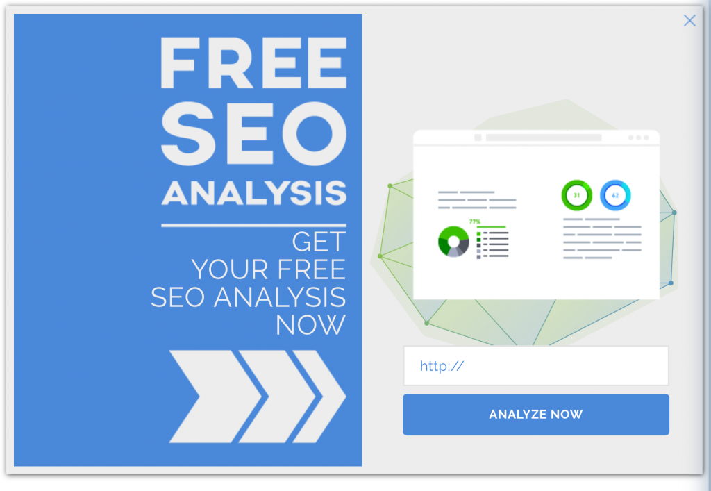 SEO Audit Optin Form