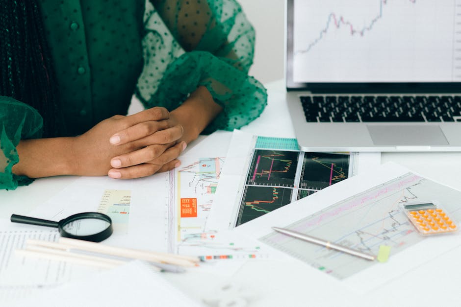 SEO ROI metrics
